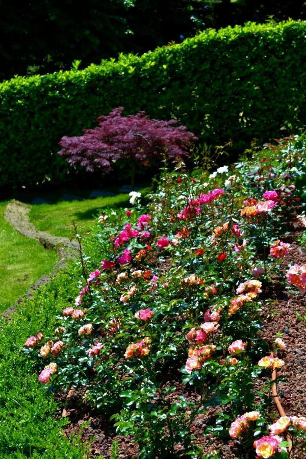 Le Grigne Guesthouse - The Garden Oliveto Lario Exterior foto
