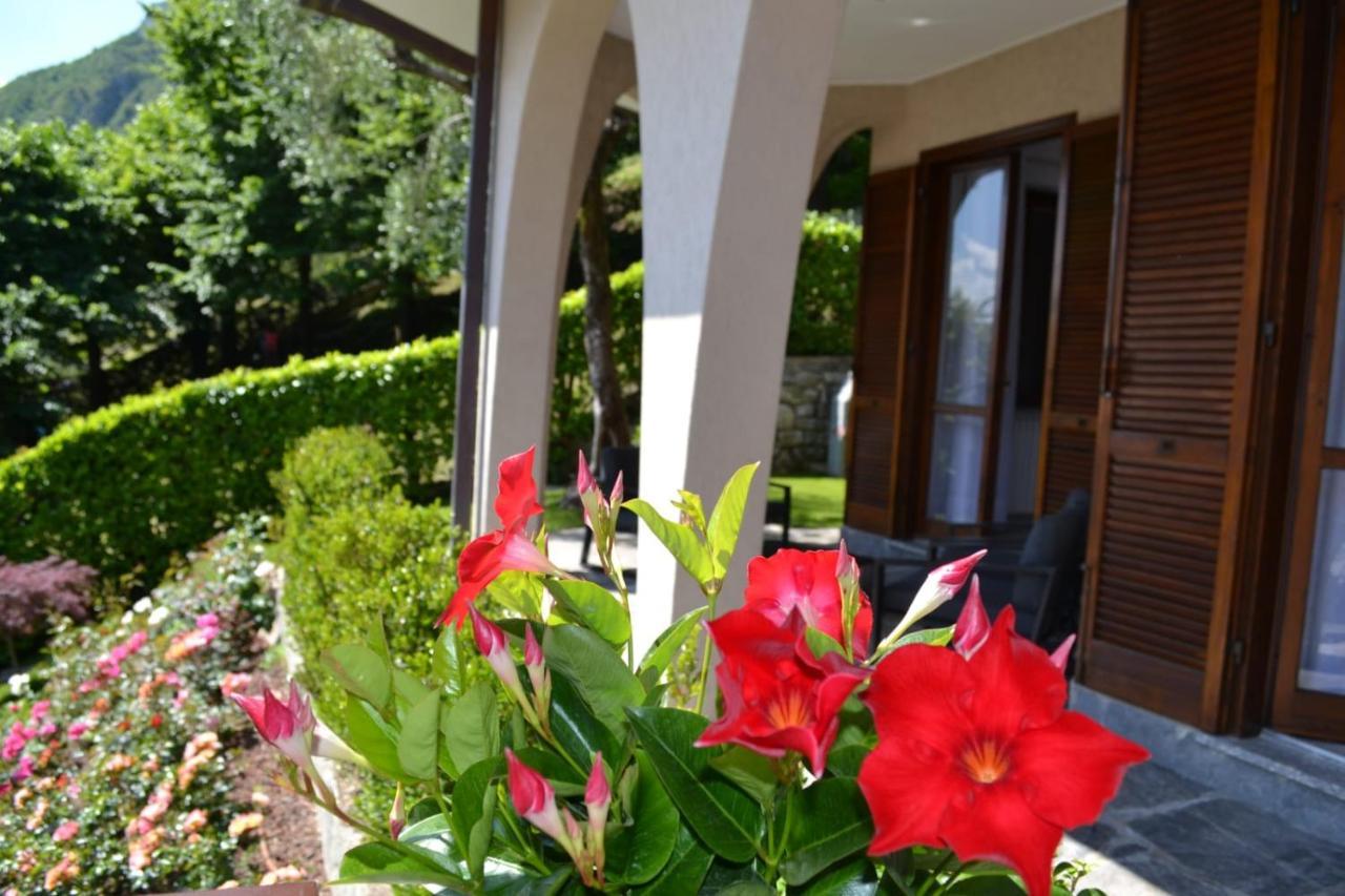 Le Grigne Guesthouse - The Garden Oliveto Lario Exterior foto