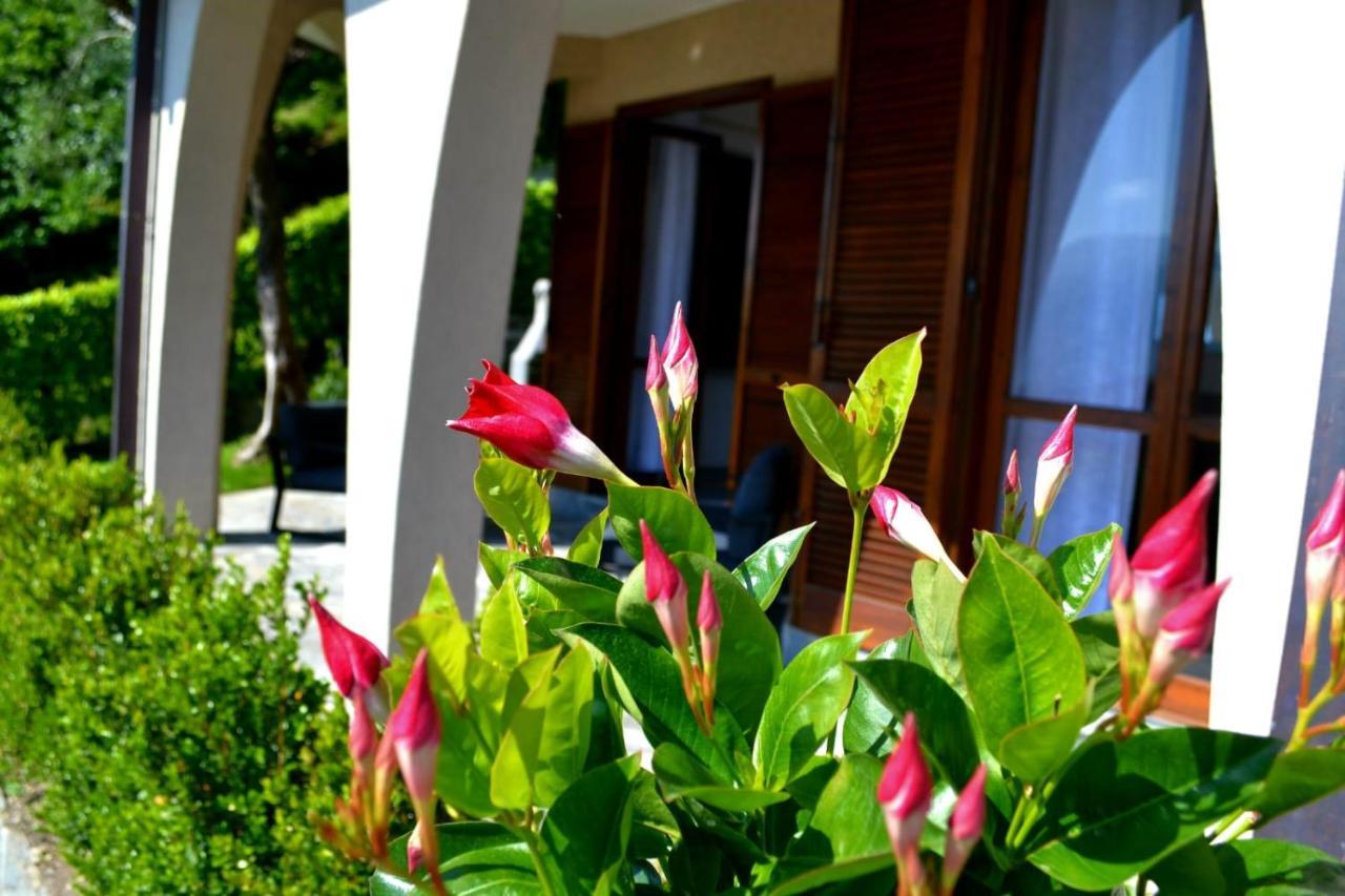 Le Grigne Guesthouse - The Garden Oliveto Lario Exterior foto