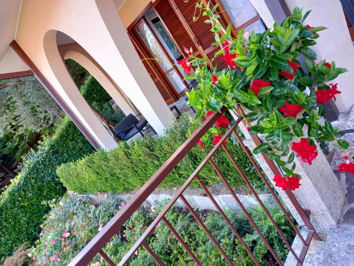 Le Grigne Guesthouse - The Garden Oliveto Lario Exterior foto